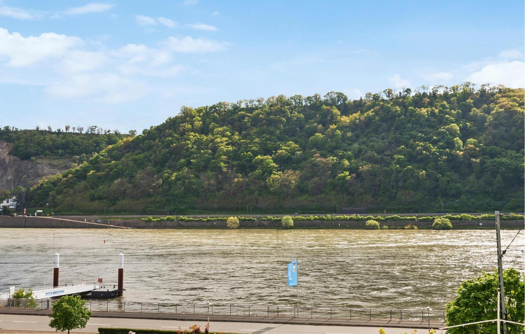 Rheinblick Apartment *